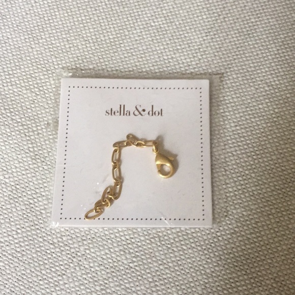 Stella And Dot Delicate Chain Extender 